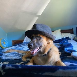 Meet your Posher, Dakota
